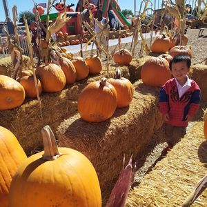 Meet your Posher, Diệu